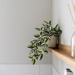 Apartman Nakedurban The One Wilhelmshaven
